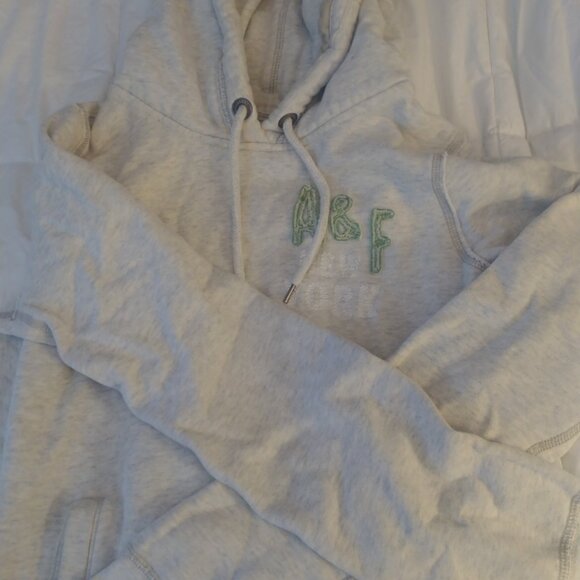 Y2K Vintage Abercrombie & Fitch pullover hoodie size Large - Picture 2 of 9